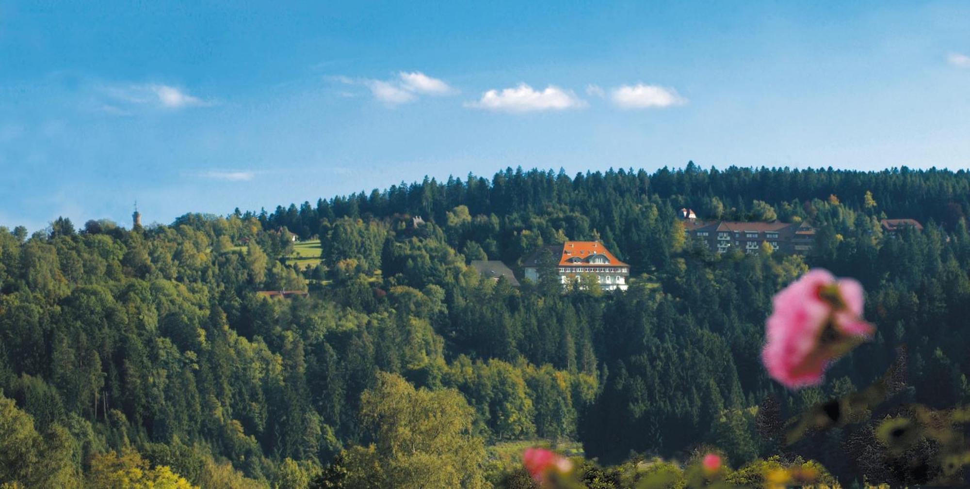 Hotel Teuchelwald Freudenstadt Luaran gambar